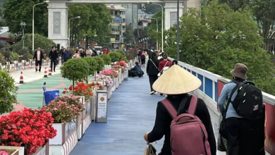 Vietnam-China Border Crossing Guide and Tips (2025 Update)