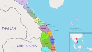 Understanding Vietnamese Addresses: What Is a Province?