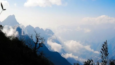 Exploring the Majestic Mountains of Vietnam: A Journey to the Clouds